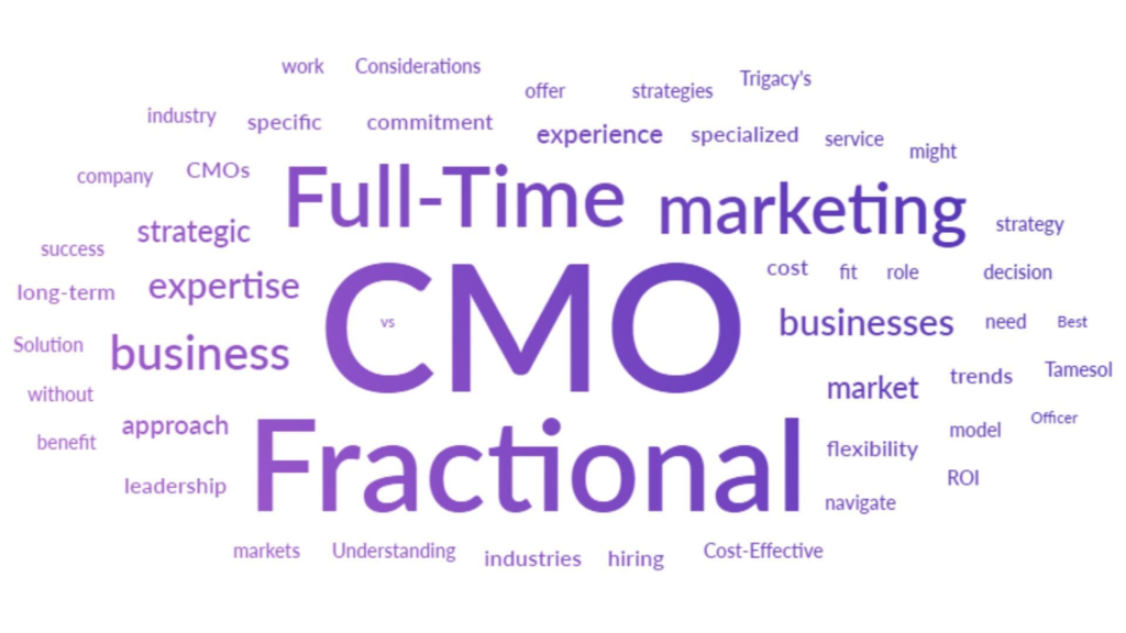 best fractional cmo companies